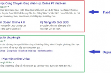 search là gì