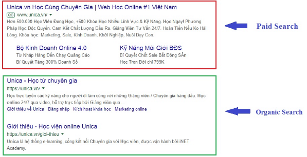 search là gì