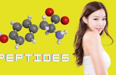 peptide là gì