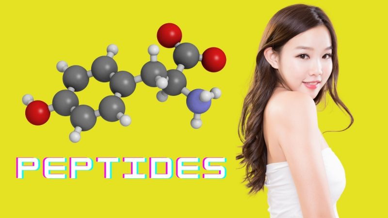 peptide là gì