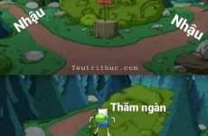 thăm ngàn là gì