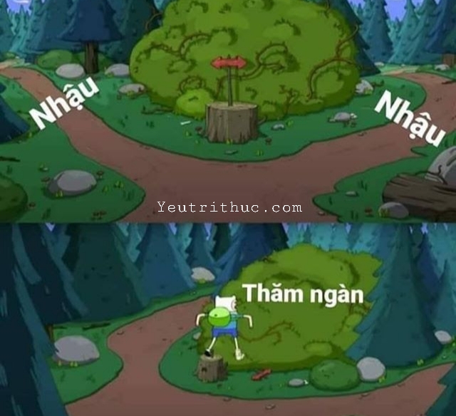 thăm ngàn là gì
