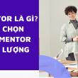 mentor là gì