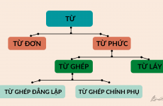 từ ghép là gì