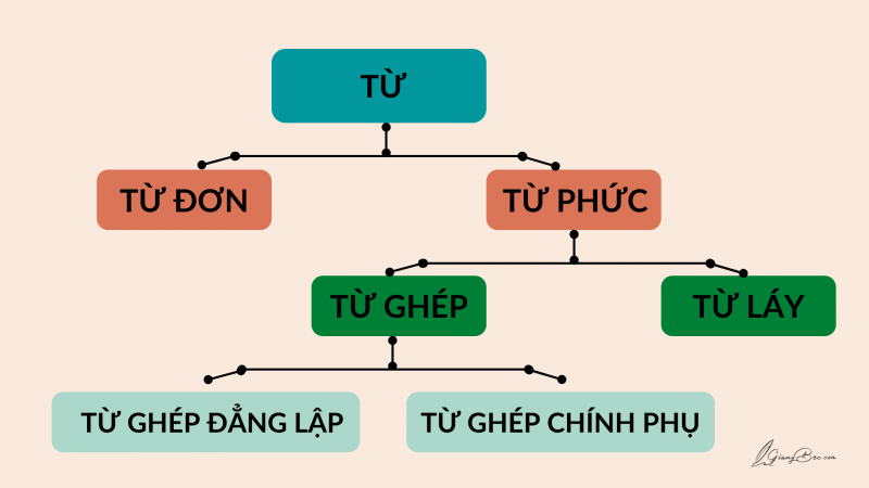 từ ghép là gì