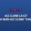acc là gì