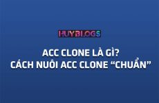 acc là gì
