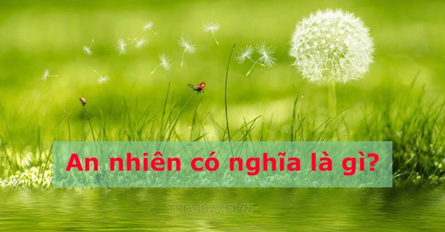 An nhiên là gì? An yên là gì? Ý nghĩa trong cuộc sống