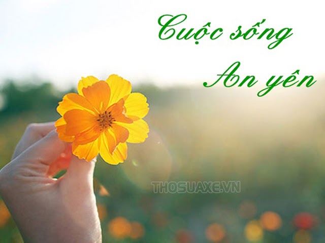 An nhiên là gì? An yên là gì? Ý nghĩa trong cuộc sống