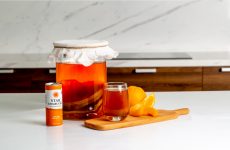 kombucha là gì