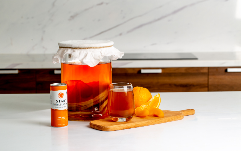kombucha là gì