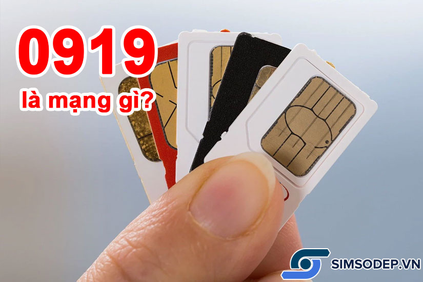 Tìm hiểu về đầu số 0919 của mạng Vinaphone