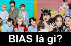 bias là gì