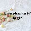 biện pháp tu từ là gì