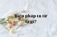 biện pháp tu từ là gì