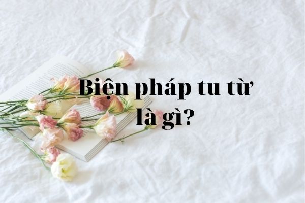 biện pháp tu từ là gì