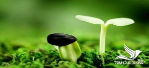 Niềm tin là gì? Nguồn gốc niềm tin và cách để xây dựng niềm tin