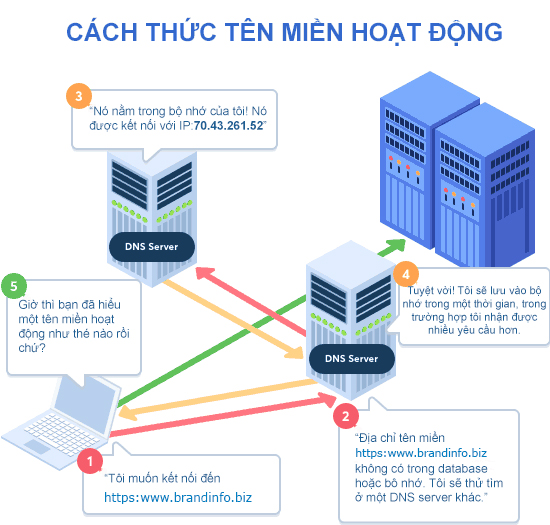 Domain là gì ? Từ A đến Z về Domain - Brandinfo.biz