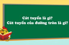 cát tuyến là gì