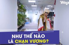 chạn vương là gì