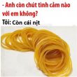 pros and cons là gì