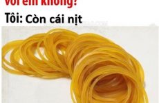 pros and cons là gì