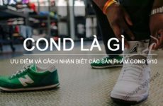 cond là gì