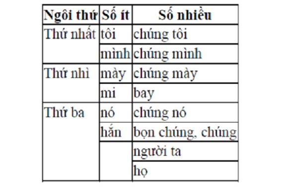 Đại Từ Là Gì? Phân Loại Đại Từ, Một Số Ví Dụ Về Đại Từ