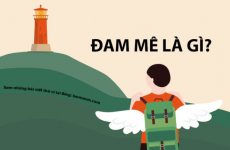 đam mê là gì
