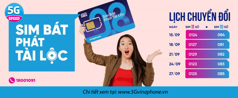 Đầu số 081, 082, 083, 083, 084, 085, 088 là của mạng nào? có ý nghĩa gì?