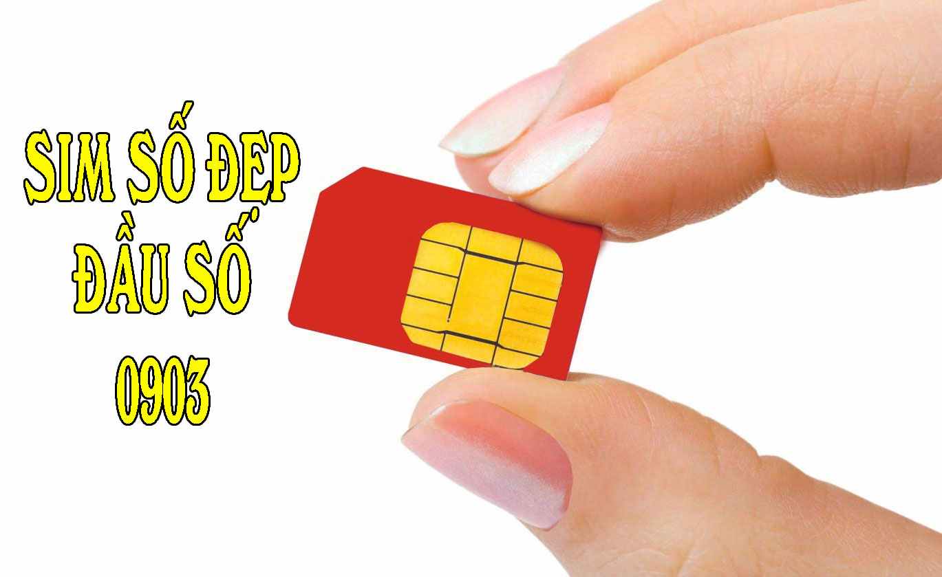 Đầu số số 0903 là mạng gì? - Lưu ý khi lựa chọn đầu sim đầu số 0903