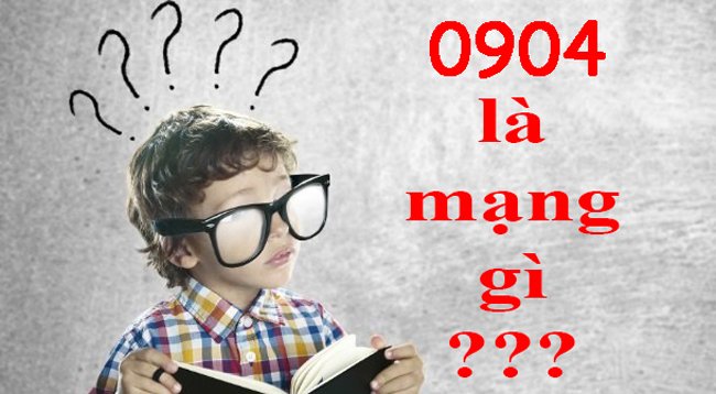 Đầu số 0904 là mạng gì? Các lưu ý khi lựa chọn sim 0904