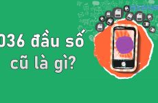 036 là mạng gì