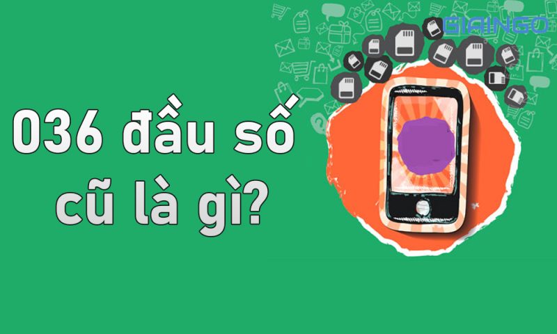 036 là mạng gì