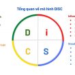 disc là gì