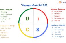 disc là gì