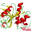 enzyme là gì