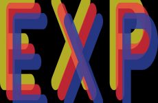 exp là gì