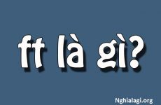 ft là gì