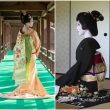 geisha là gì