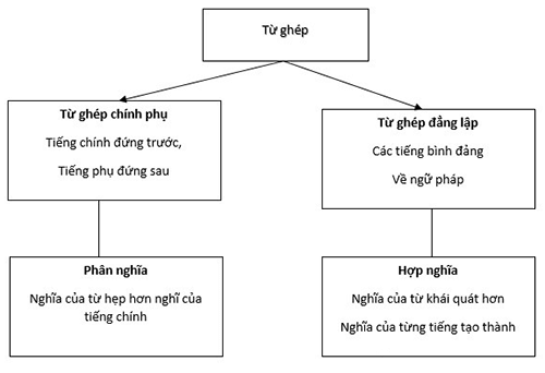 Từ ghép là gì? 3 cách phân biệt từ ghép, từ láy nhanh và dễ hiểu nhất | Lafactoria Web