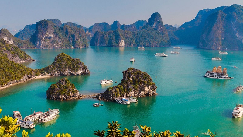 Hệ sinh thái là gì? Vai trò của hệ sinh thái rừng trong môi trường thiên nhiên - KHBVPTR