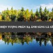 phản xạ là gì