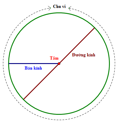 Lý thuyết hình tròn, tâm, đường kính, bán kính | Toán 3