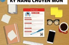 trình độ chuyên môn là gì