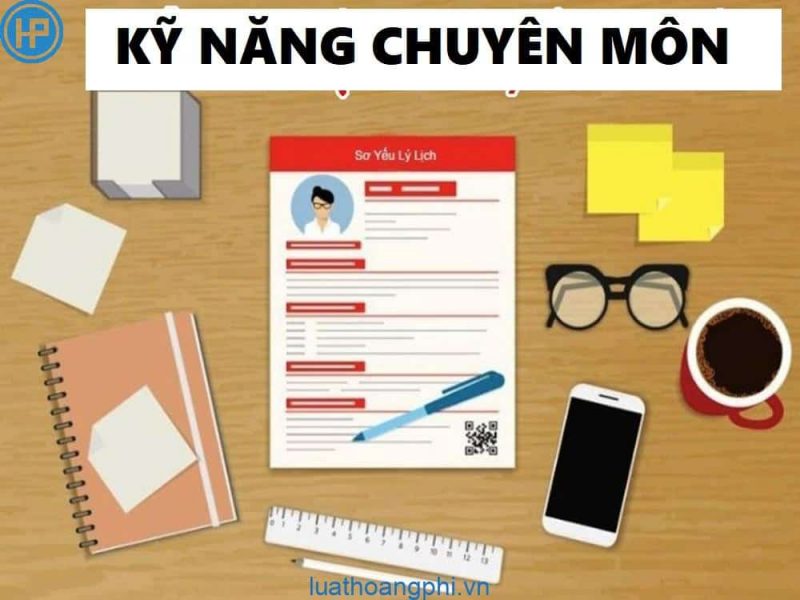 trình độ chuyên môn là gì
