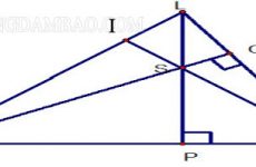 trực giác là gì