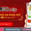 084 là mạng gì