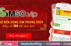 084 là mạng gì
