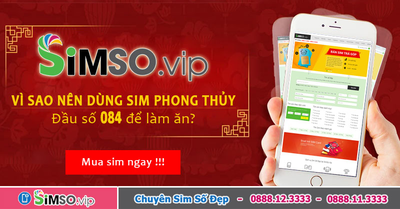 084 là mạng gì